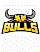 Franklin Bull