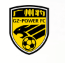 Guangdong Guangzhou Leopard