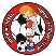 Incheon Hyundai Steel Women's Football Team