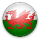 Wales women's national team