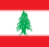 Lebanon women's football team