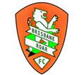 Brisbane Roar